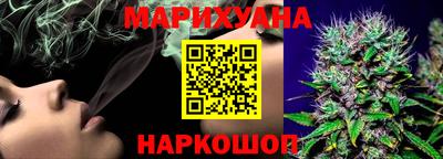 сатива Бузулук