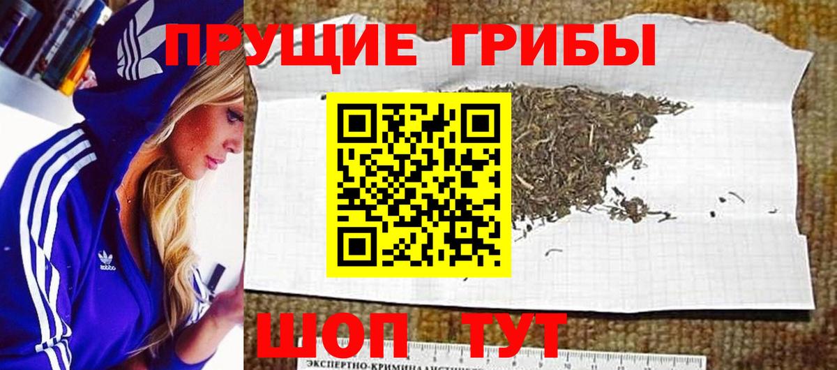 Псилоцибиновые грибы прущие грибы  Вход с VPN  Похвистнево 